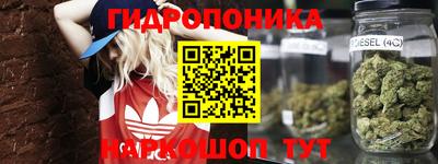 МДПВ Кимры