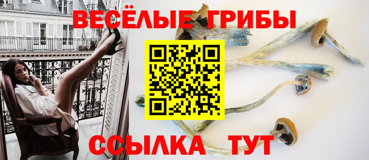 Псилоцибиновые грибы MAGIC MUSHROOMS  Псилоцибиновые грибы Cubensis  Волгоград  Вход с VPN 