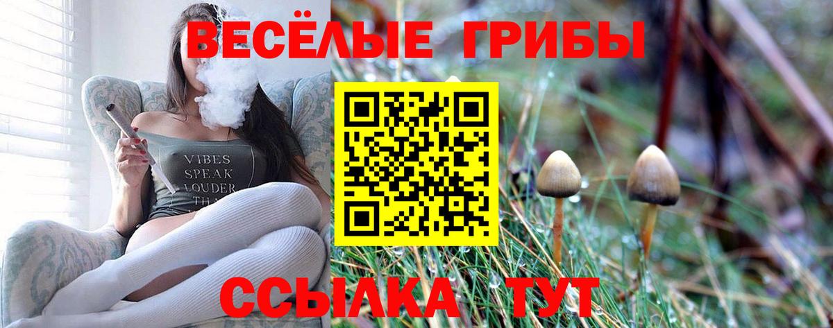 Псилоцибиновые грибы MAGIC MUSHROOMS Волгоград